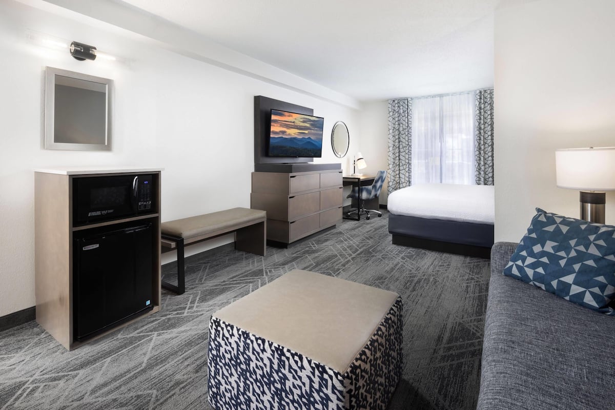 Quarto de hotel com cama, sofá, escrivaninha com cadeira, televisão, cômoda, micro-ondas e uma pequena mesa.