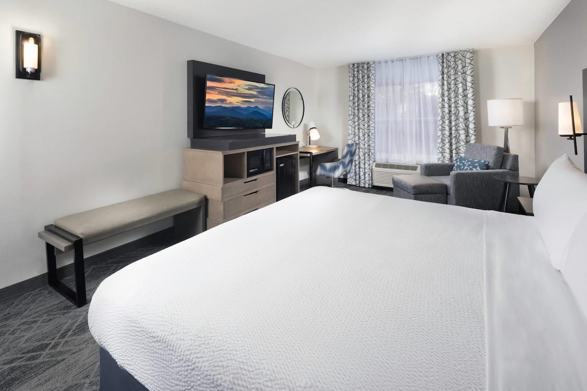 Room, 1 King Bed, Non Smoking | 1 bedroom, premium bedding, desk, blackout curtains