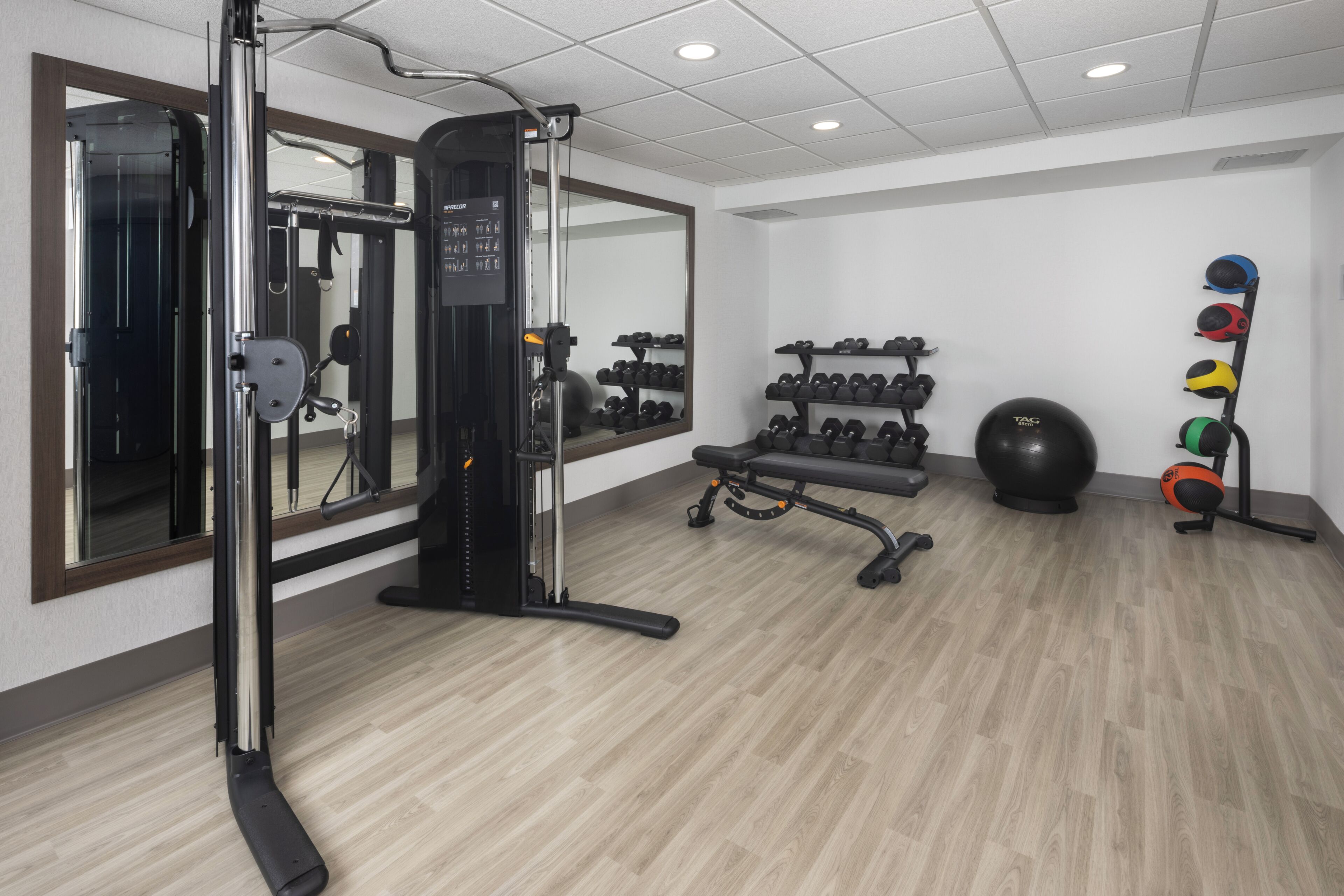 Une salle de sport équipée d’un banc de musculation, d’haltères, d’un ballon lesté et d’un support à squats.
