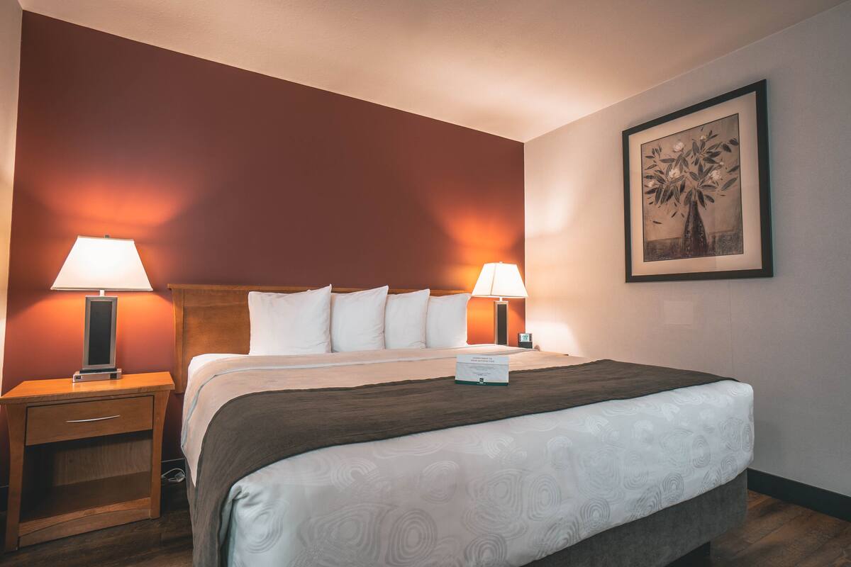 A hotel room with a large bed, two bedside lamps, a nightstand, and a framed picture on the wall.