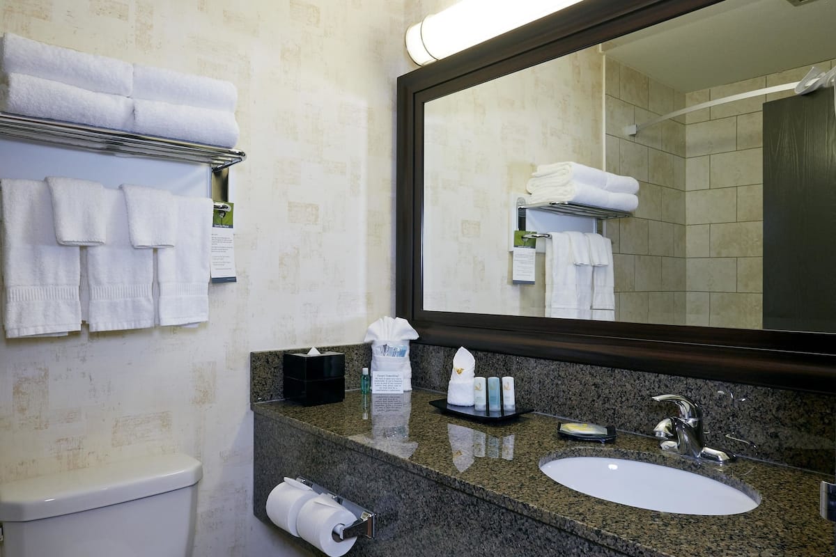 combined shower/bathtub, designer toiletries, hair dryer, towels