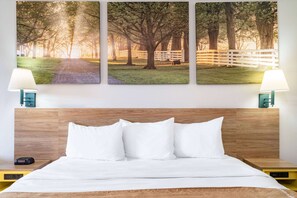 Blackout drapes, iron/ironing board, free cribs/infant beds, free WiFi