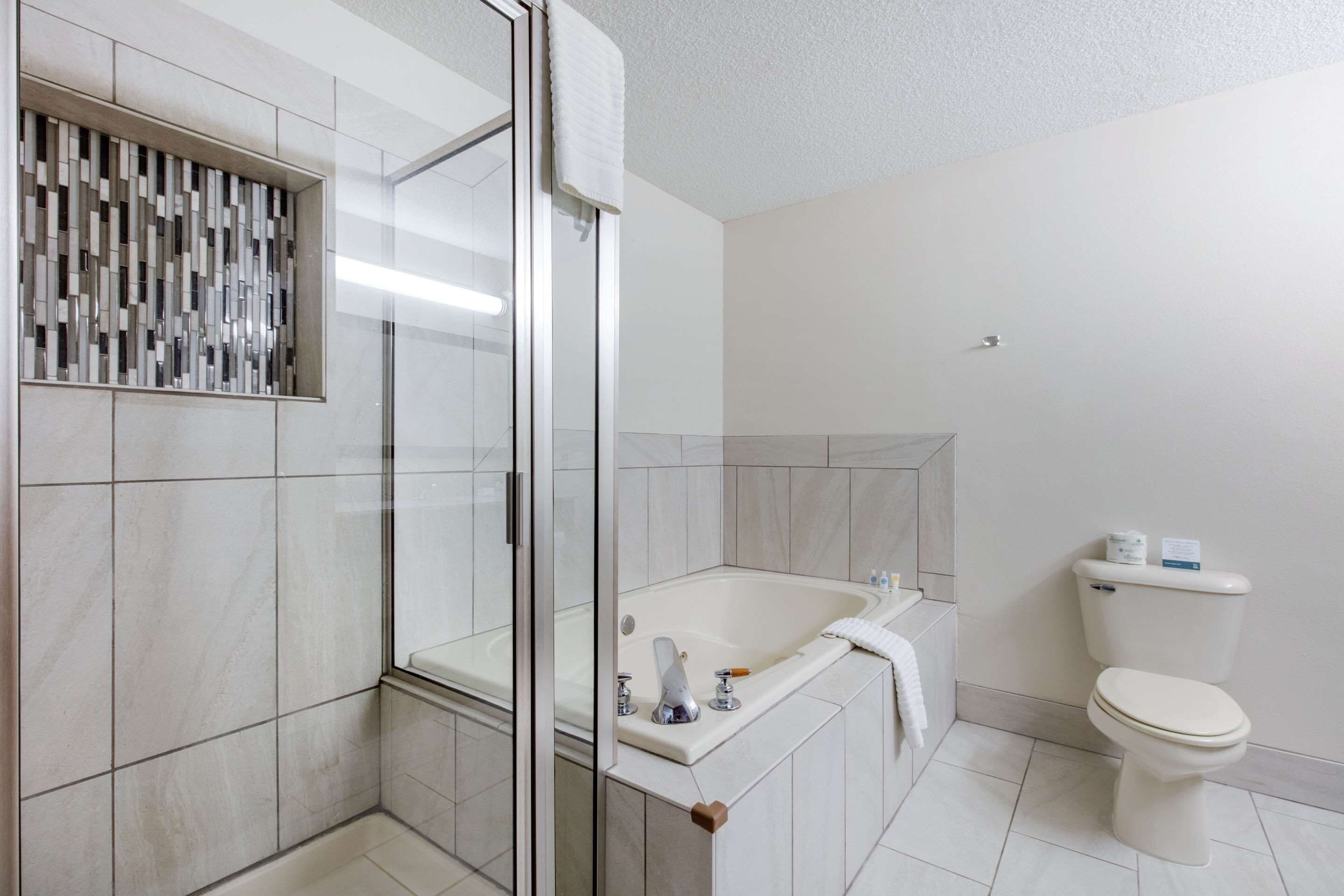 combined shower/bathtub, free toiletries, hair dryer, towels
