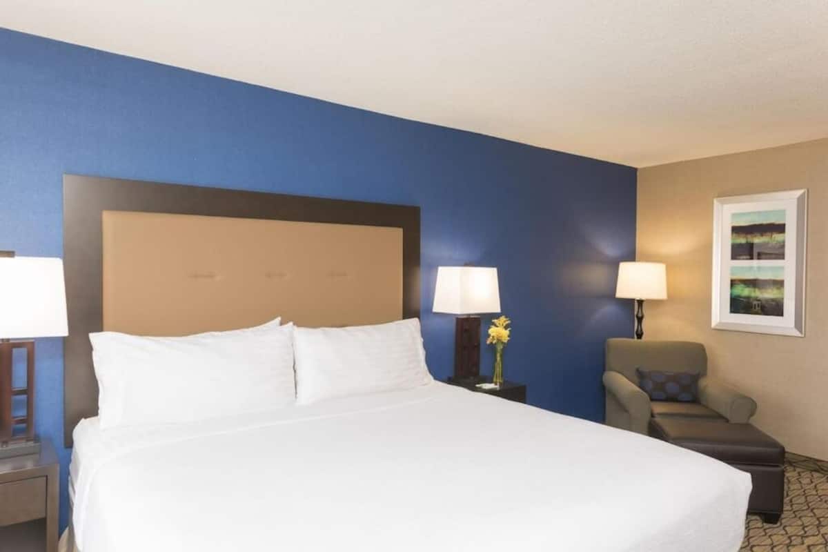Ropa de cama de alta calidad, muebles diferentes y escritorio