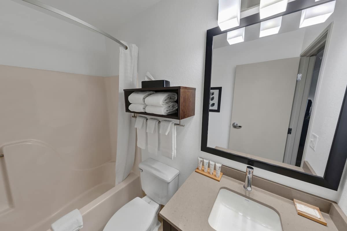 combined shower/bathtub, free toiletries, hair dryer, towels