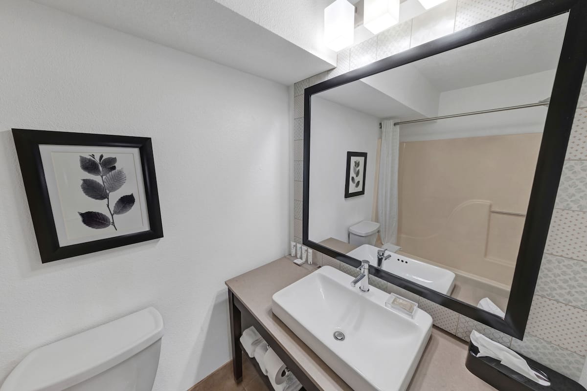 combined shower/bathtub, free toiletries, hair dryer, towels