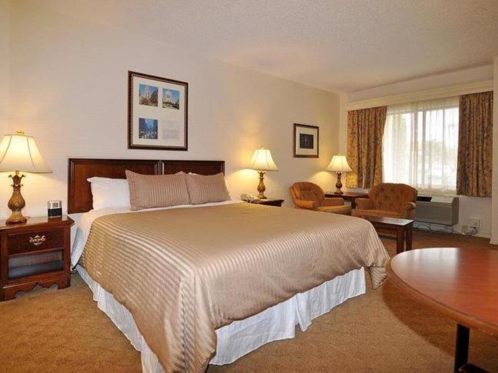 Premium bedding, desk, laptop workspace, blackout curtains