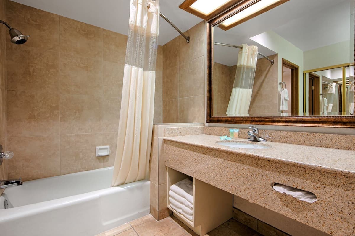 Bathroom | Combined shower/tub, free toiletries, hair dryer, towels