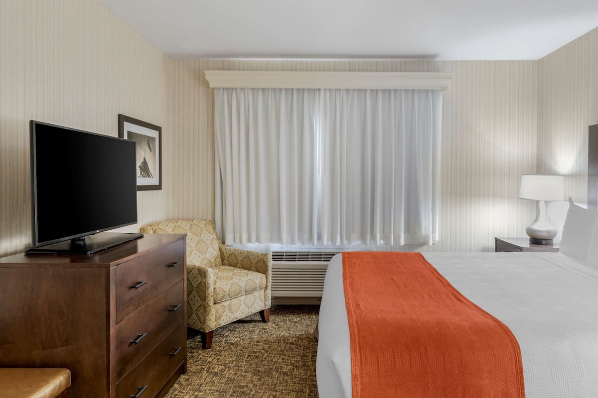 Premium bedding, desk, laptop workspace, blackout drapes