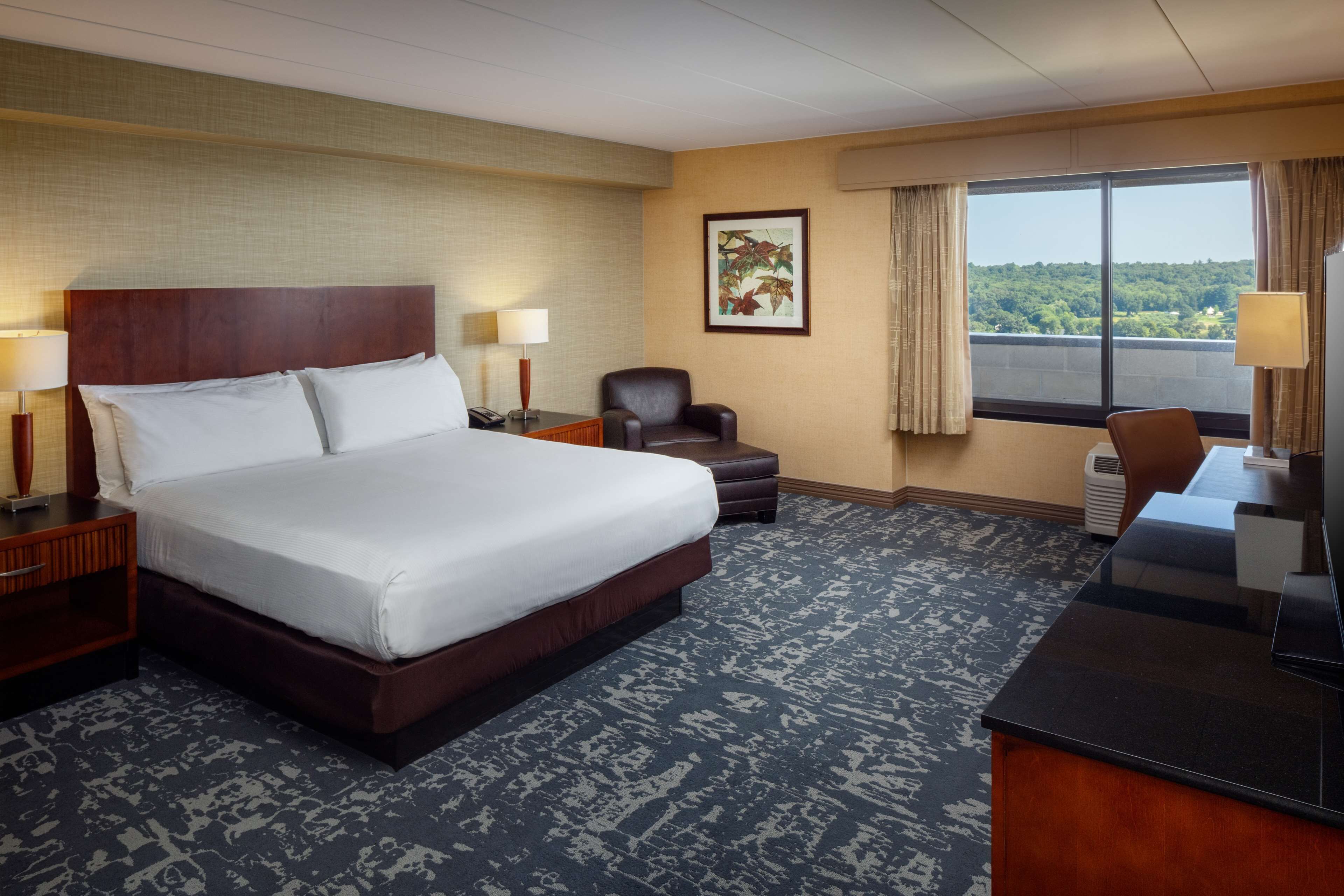 A hotel room with a large bed, a desk, a chair, and a view of the outdoors.
