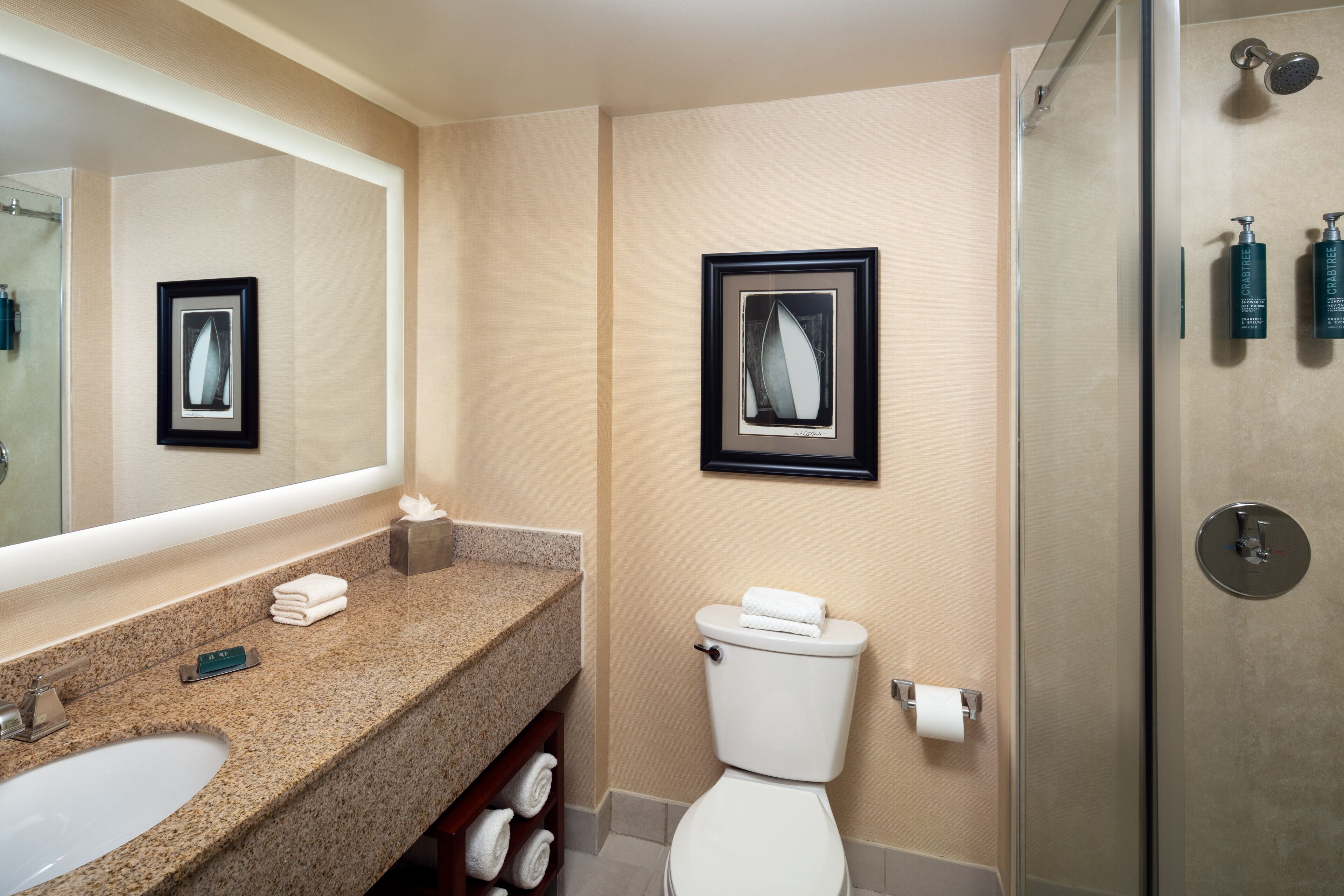 A bathroom with a granite countertop, a white toilet, a framed picture on the wall, and a shower area.
