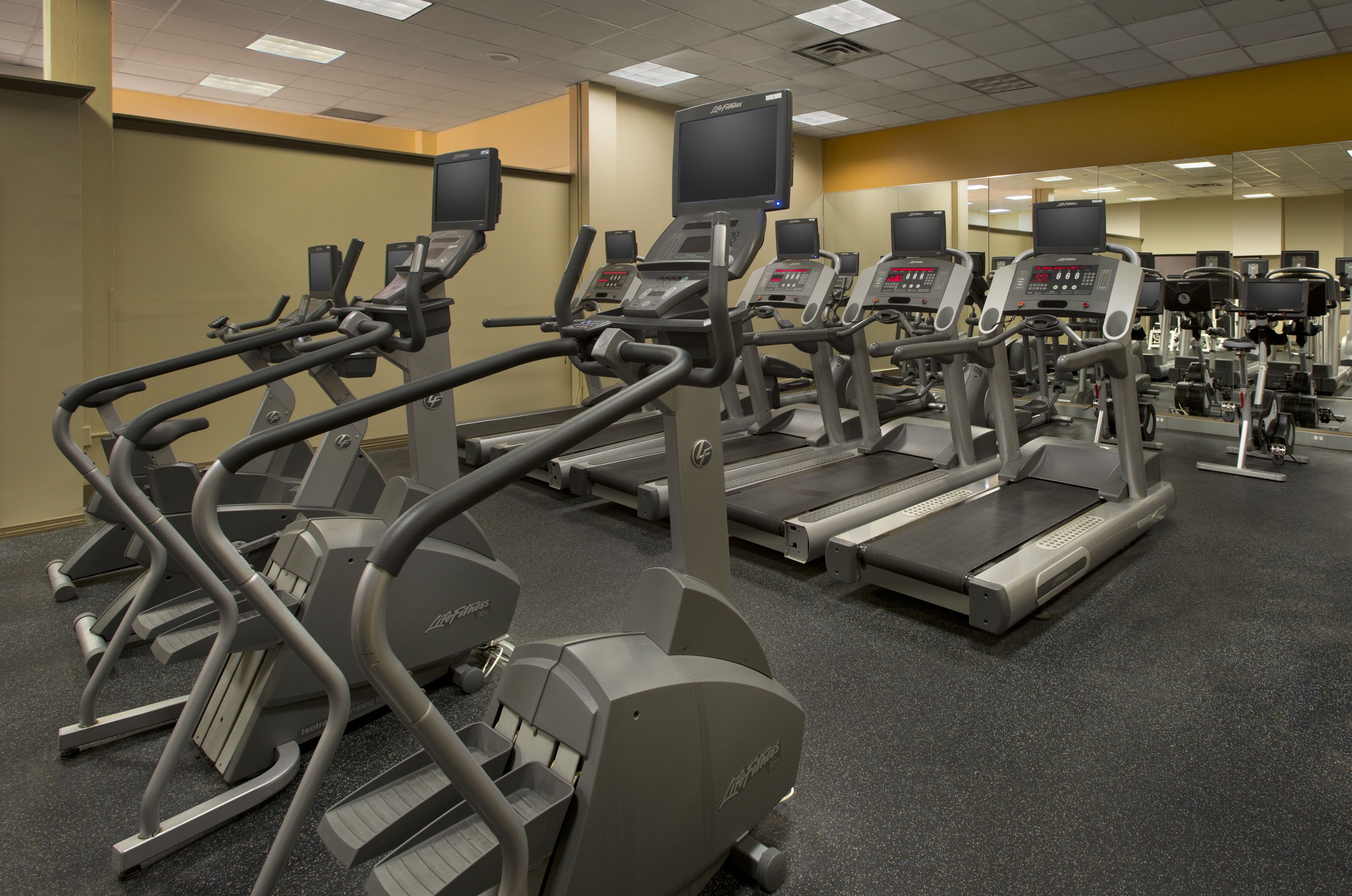 A gym with treadmills, ellipticals, and stationary bikes.