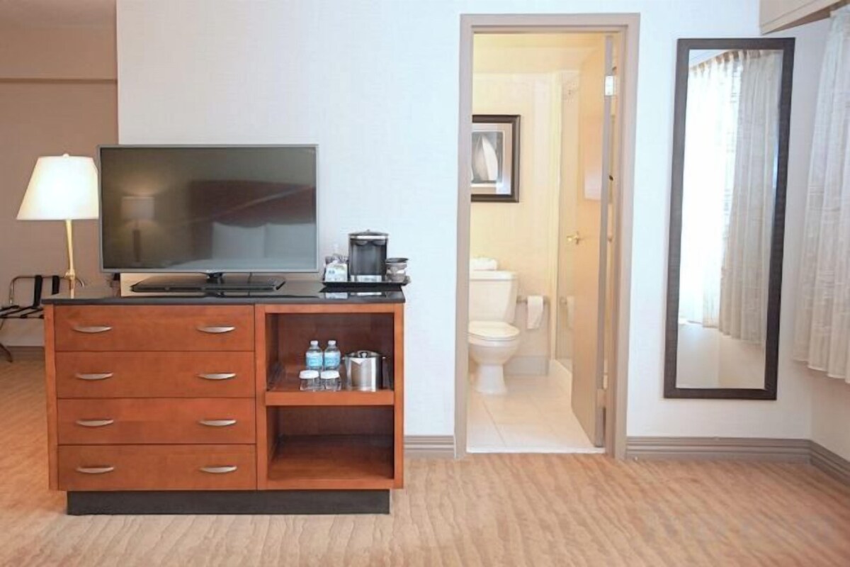 Mobility Accessible Executive King Oversize Room Roll in Shower