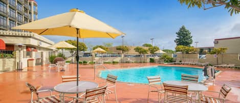 Outdoor pool, sun loungers