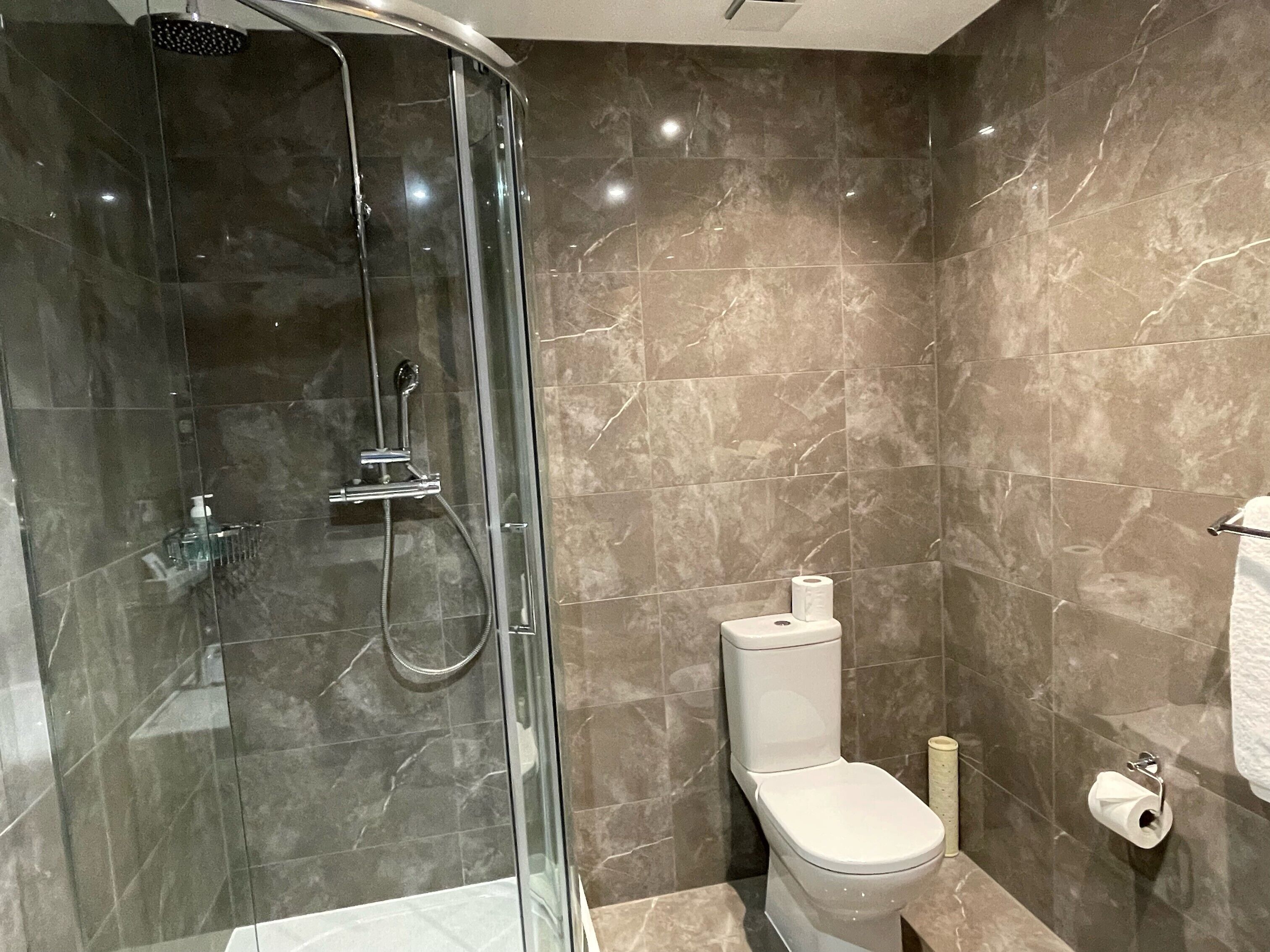 A modern bathroom with a glass-enclosed shower, a toilet, and a towel rack.