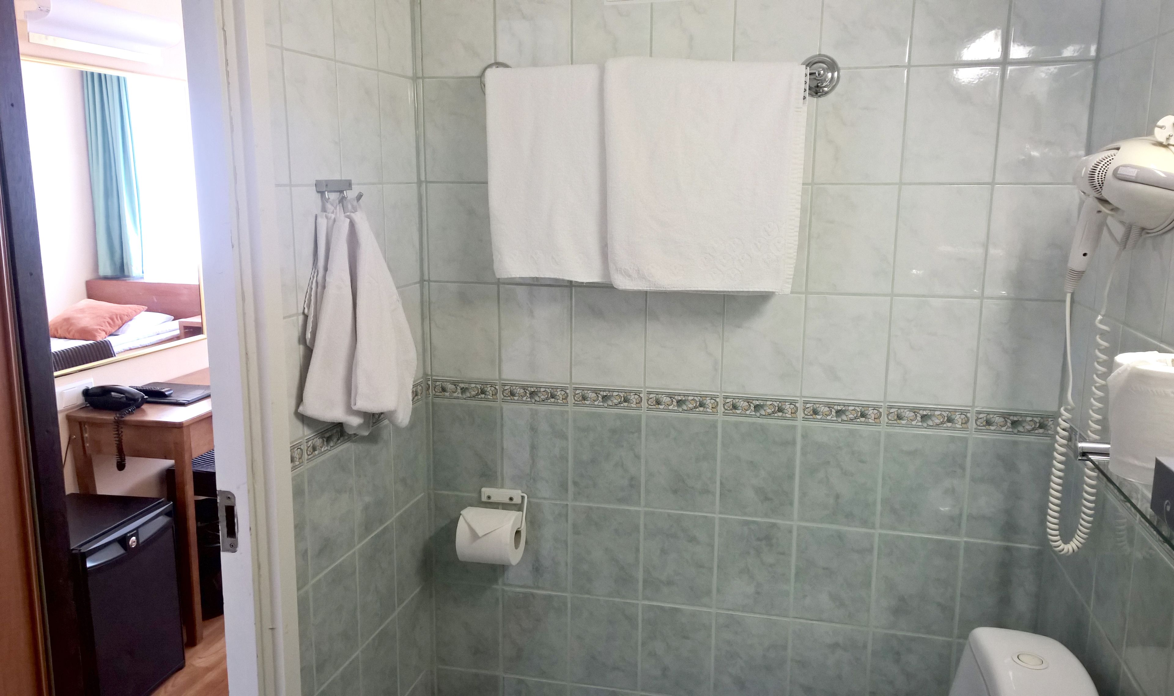A bathroom with a shower, a toilet, and a towel rack.