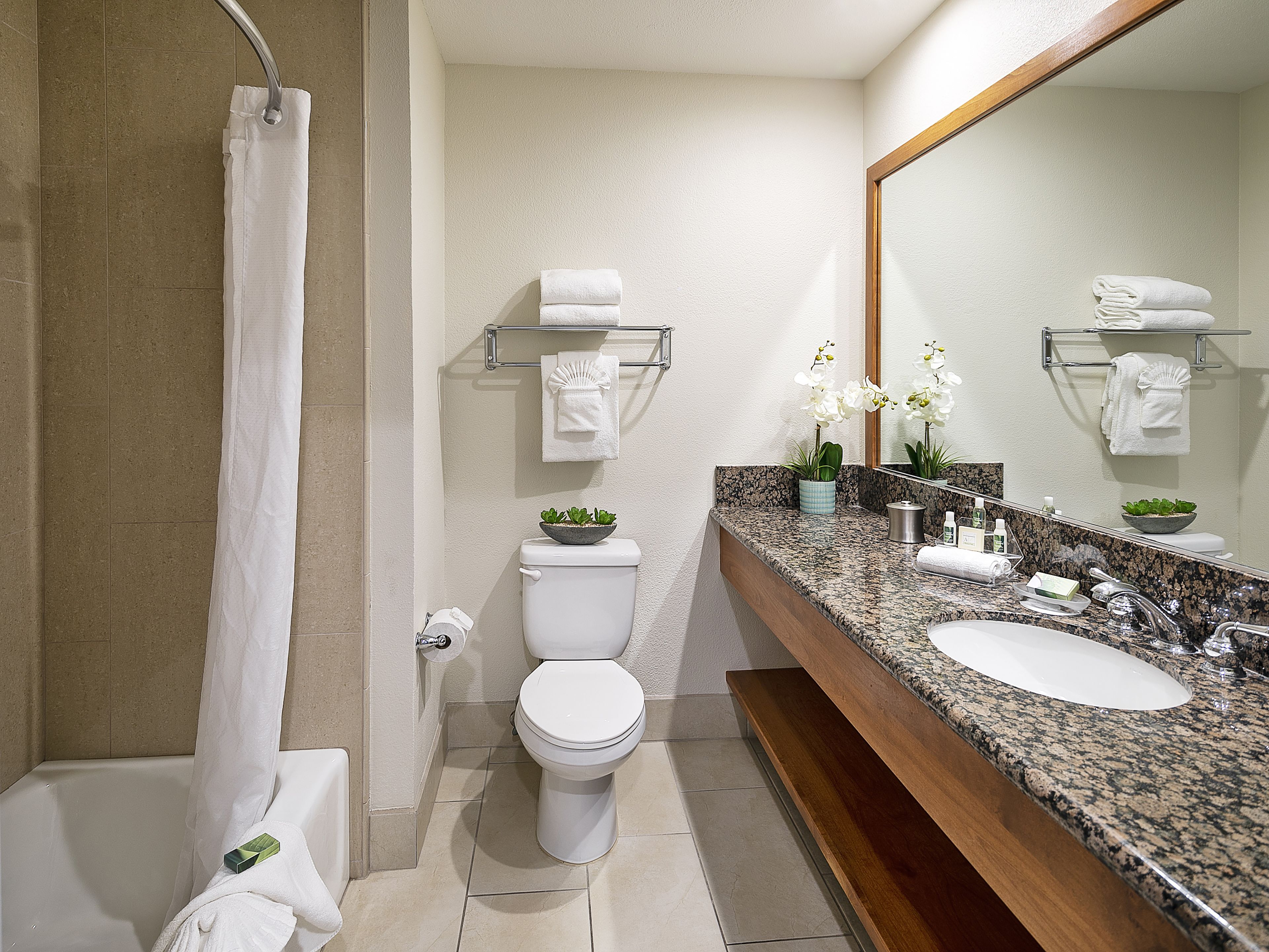 combined shower/bathtub, designer toiletries, hair dryer, towels