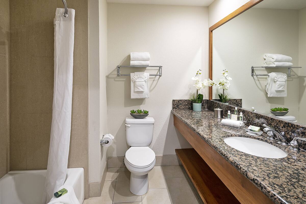 combined shower/bathtub, designer toiletries, hair dryer, towels