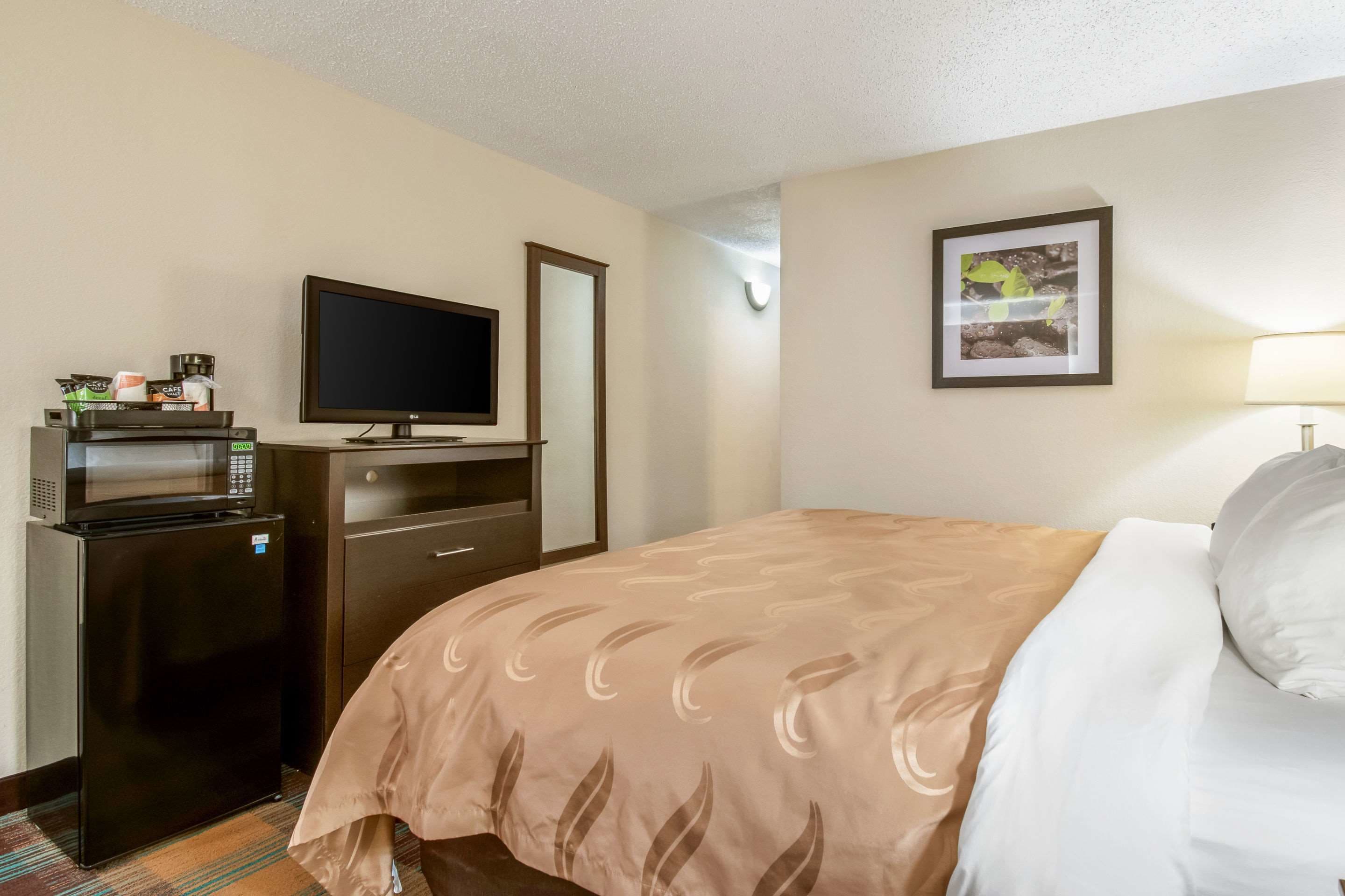 A hotel room with a bed, a TV, a microwave, a refrigerator, a desk, and a framed picture on the wall.