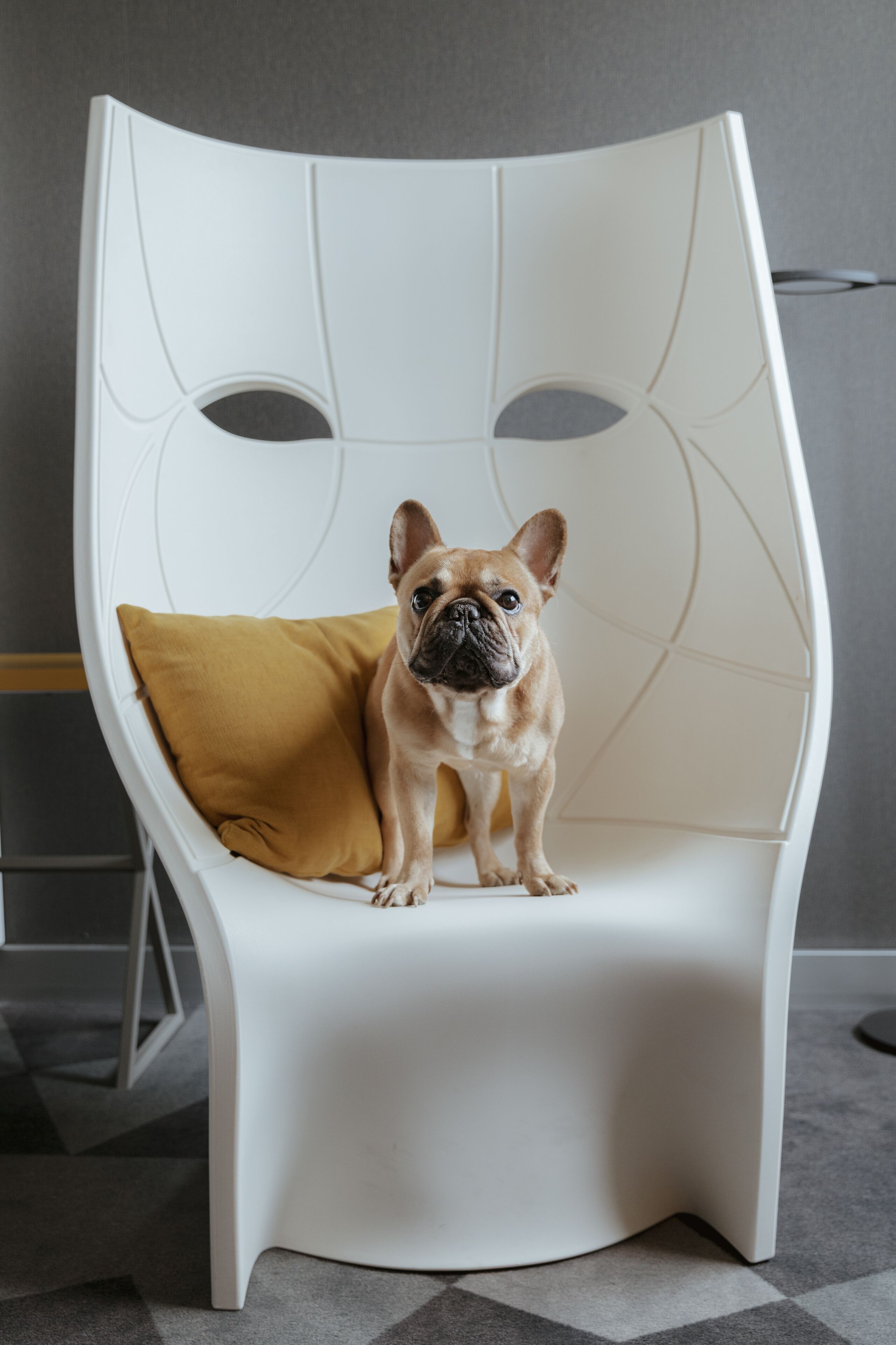 A white chair with a single mustard-colored pillow.