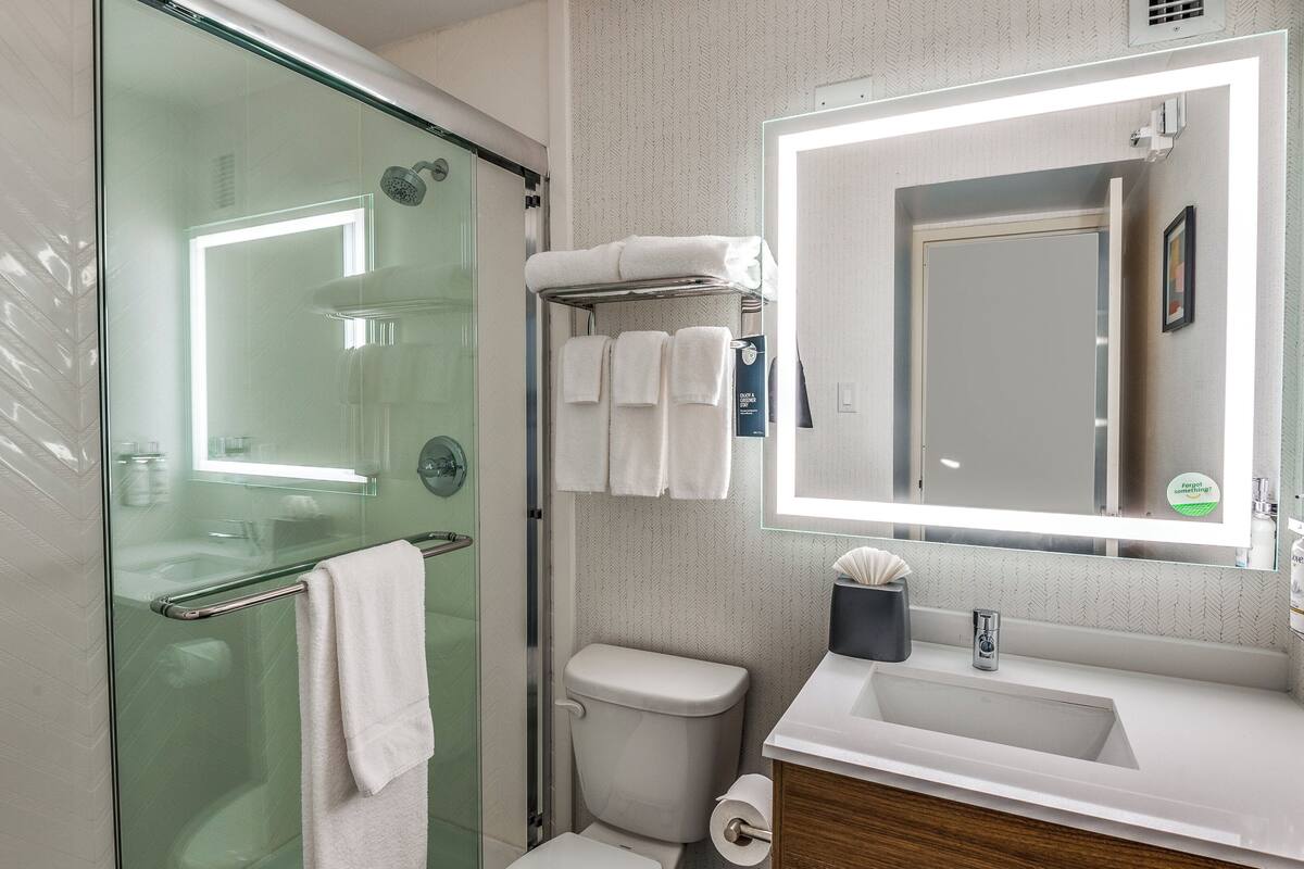 combined shower/bathtub, free toiletries, hair dryer, towels