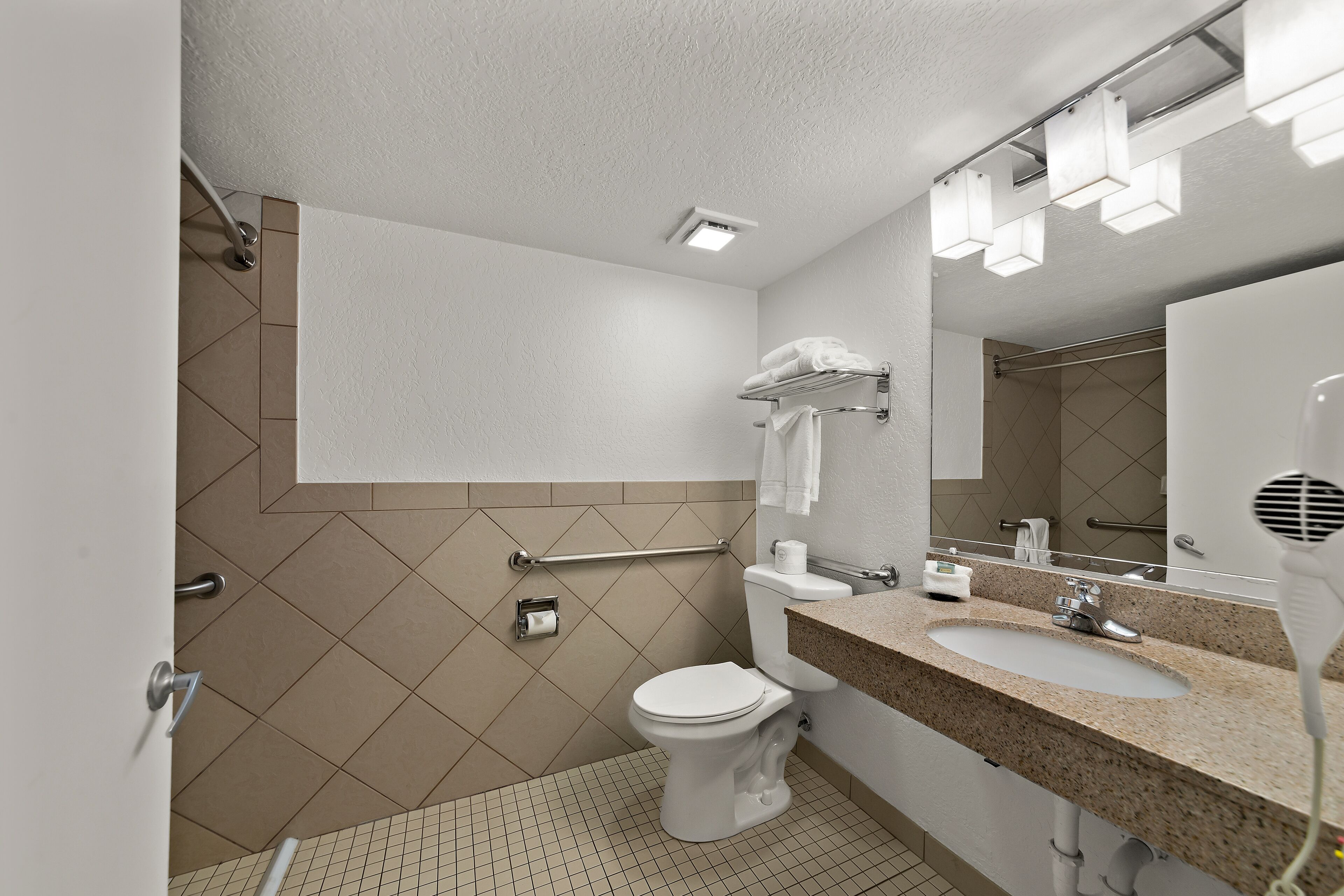 premium room, 1 king bed, accessible, shower | bathroom | free toiletries, hair dryer, towels, soap