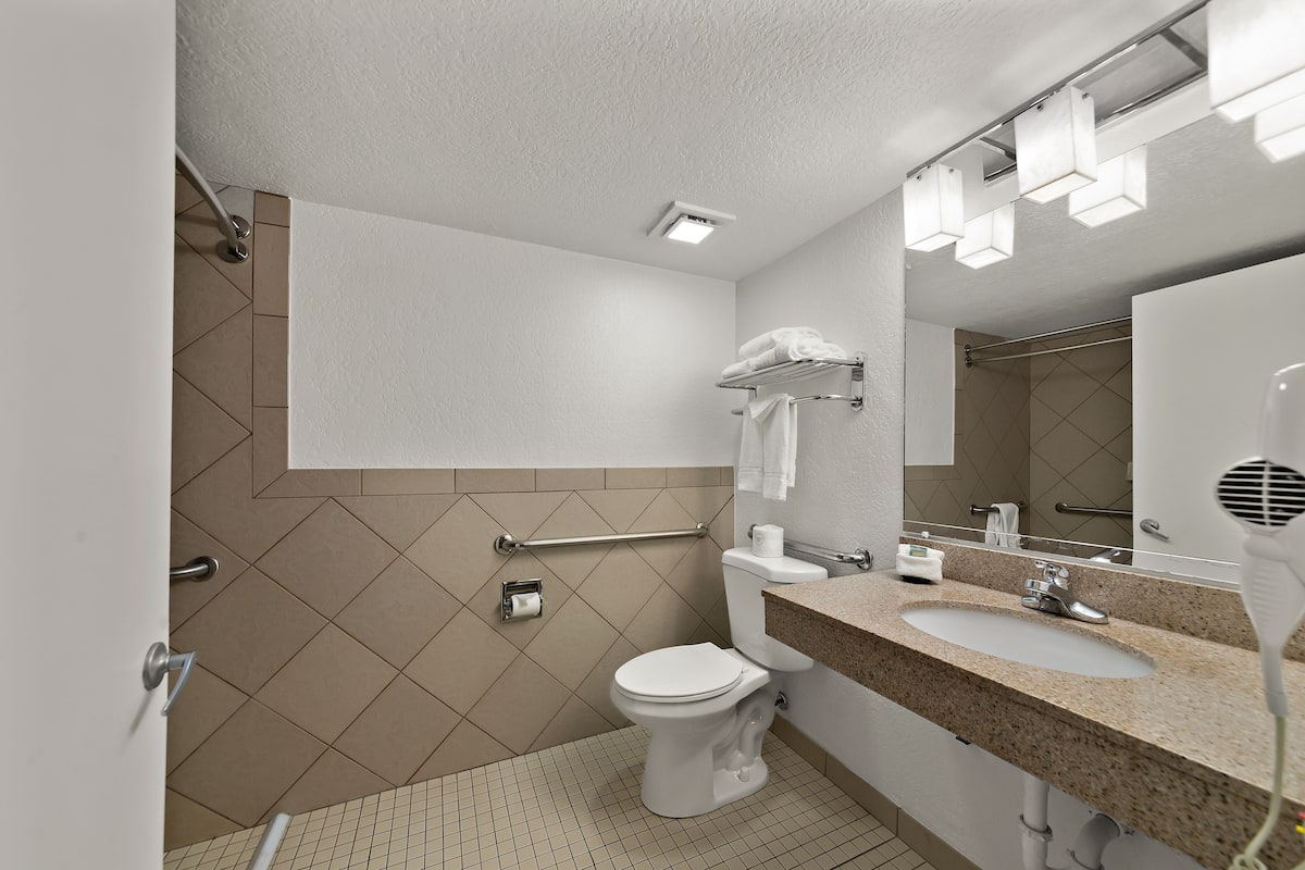 premium room, 1 king bed, accessible, shower | bathroom | free toiletries, hair dryer, towels, soap