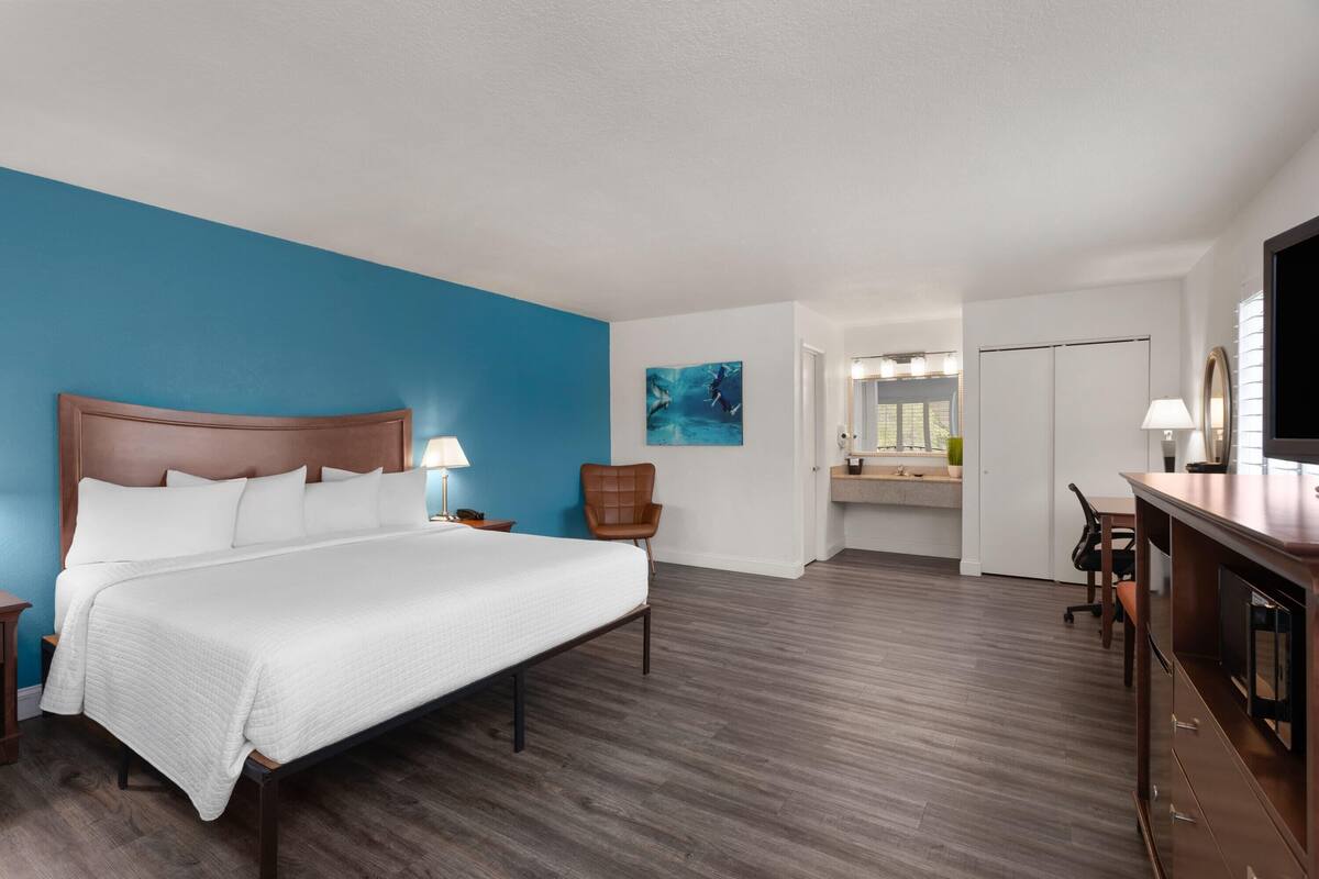 A hotel room with a large bed, a desk, a chair, a TV, a bathroom with a mirror, and a blue accent wall.