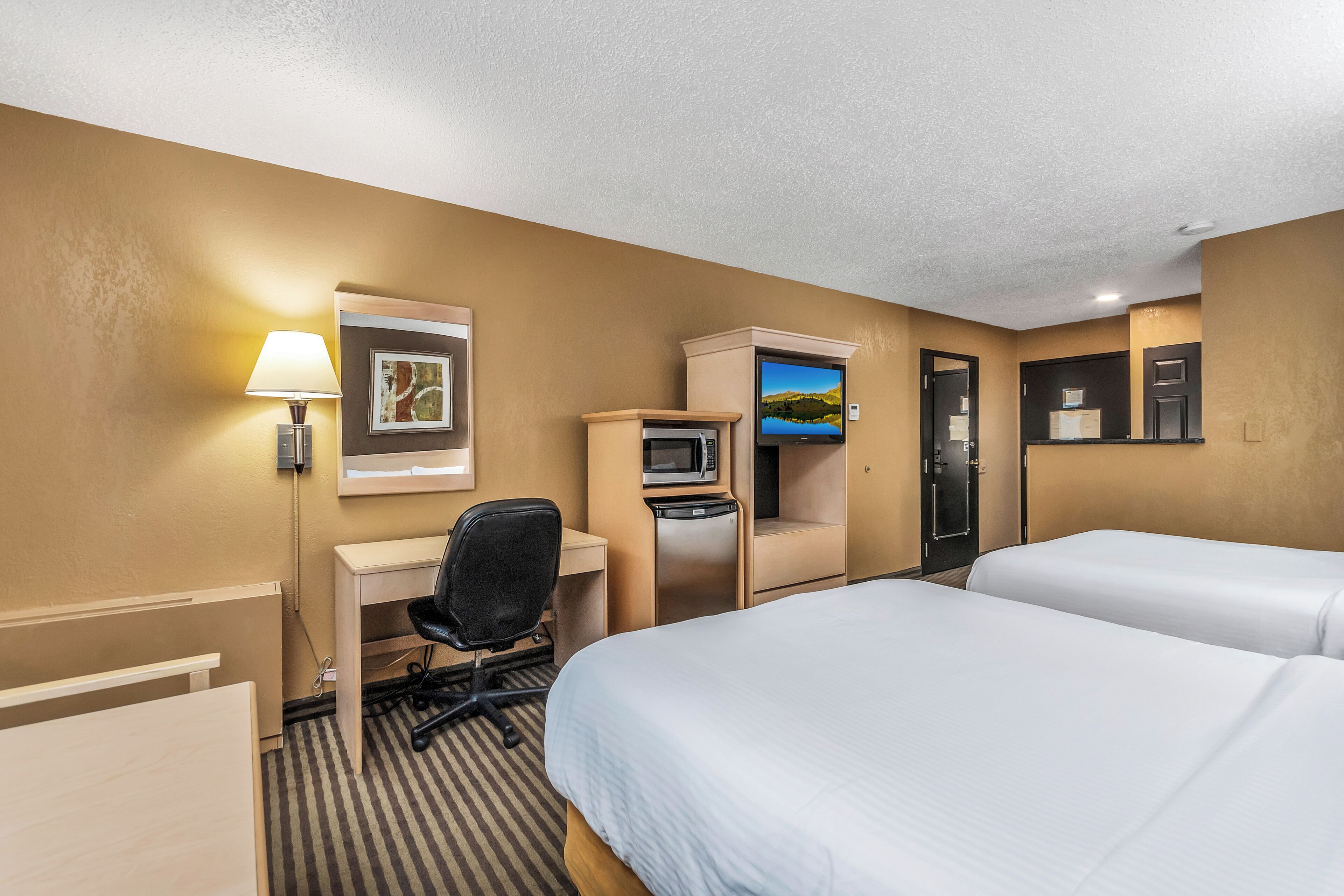 A hotel room with a bed, desk, chair, TV, microwave, and a door.