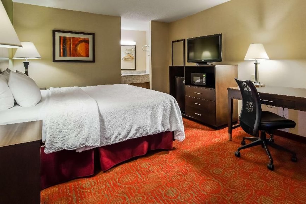 A hotel room with a bed, desk, chair, television, and a patterned carpet.