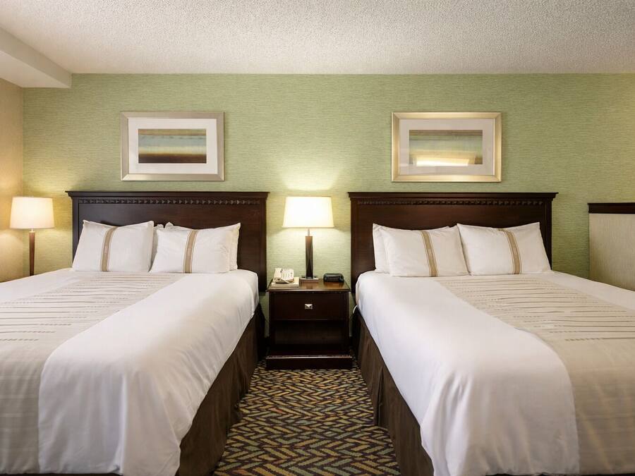 A hotel room with two beds, a nightstand with a lamp, and a patterned carpet.