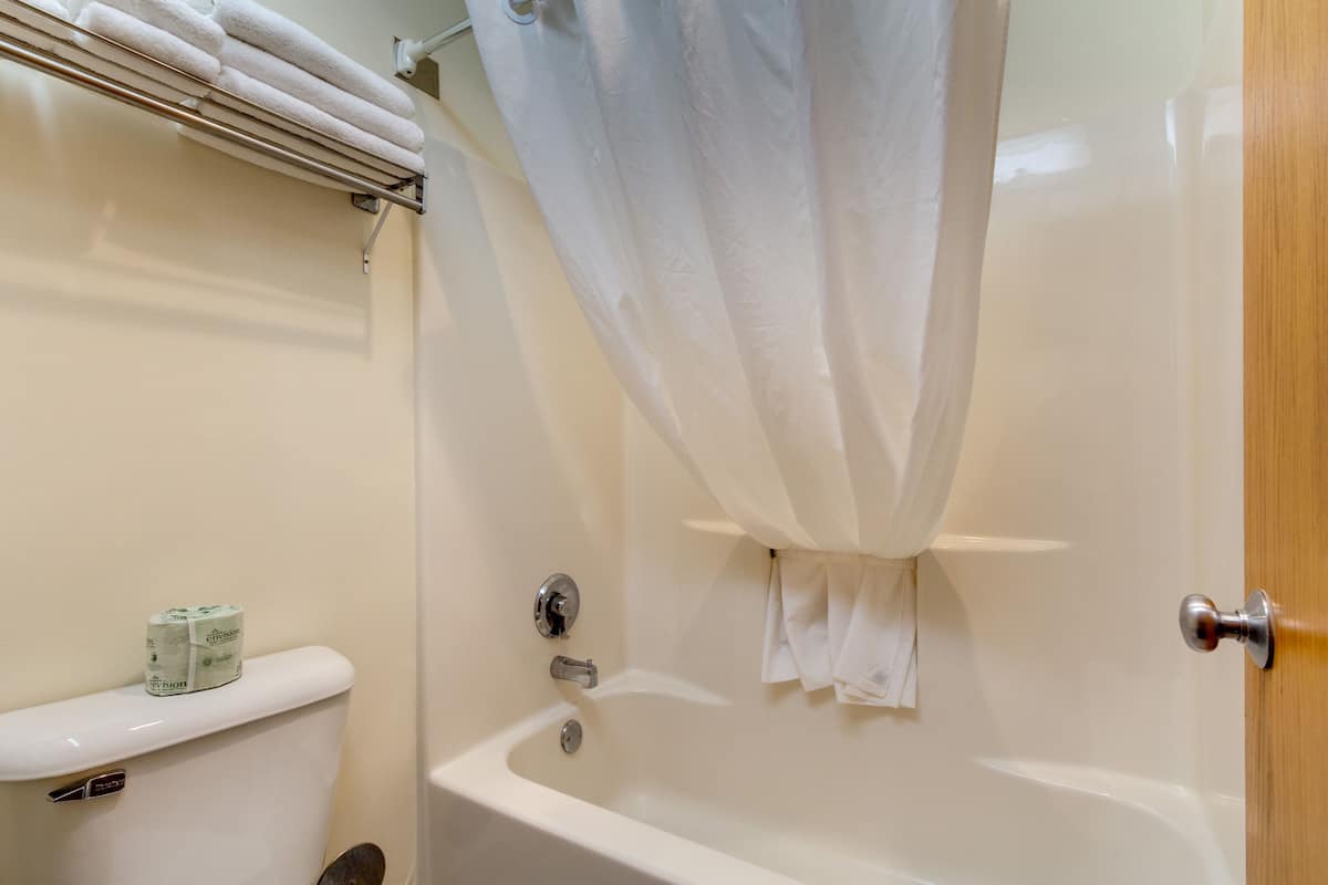 combined shower/bathtub, free toiletries, hair dryer, towels
