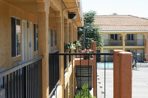 A balcony with a metal railing, potted plants, and a view of a swimming pool and buildings in the background.