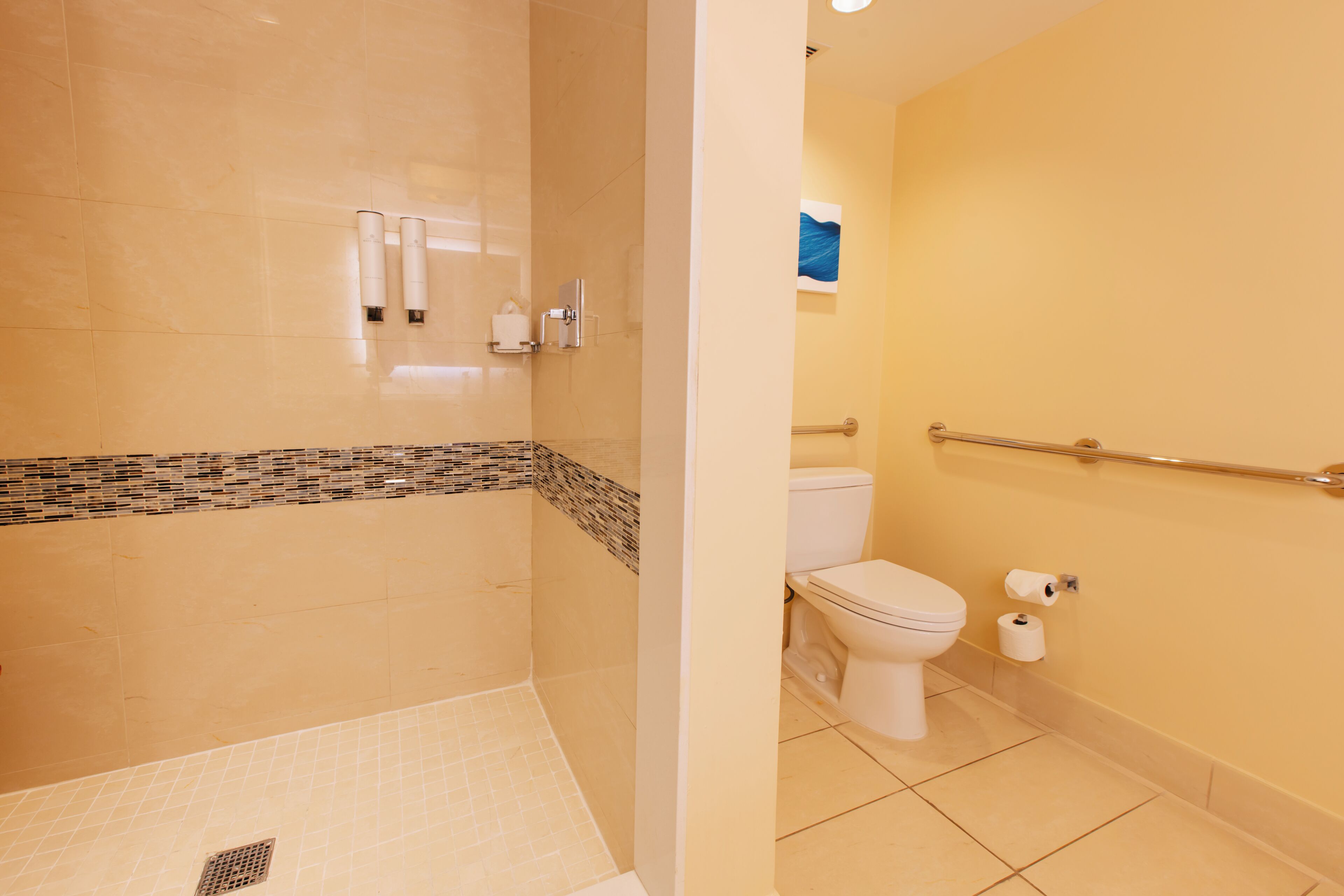 A bathroom with a shower, toilet, and handrails.