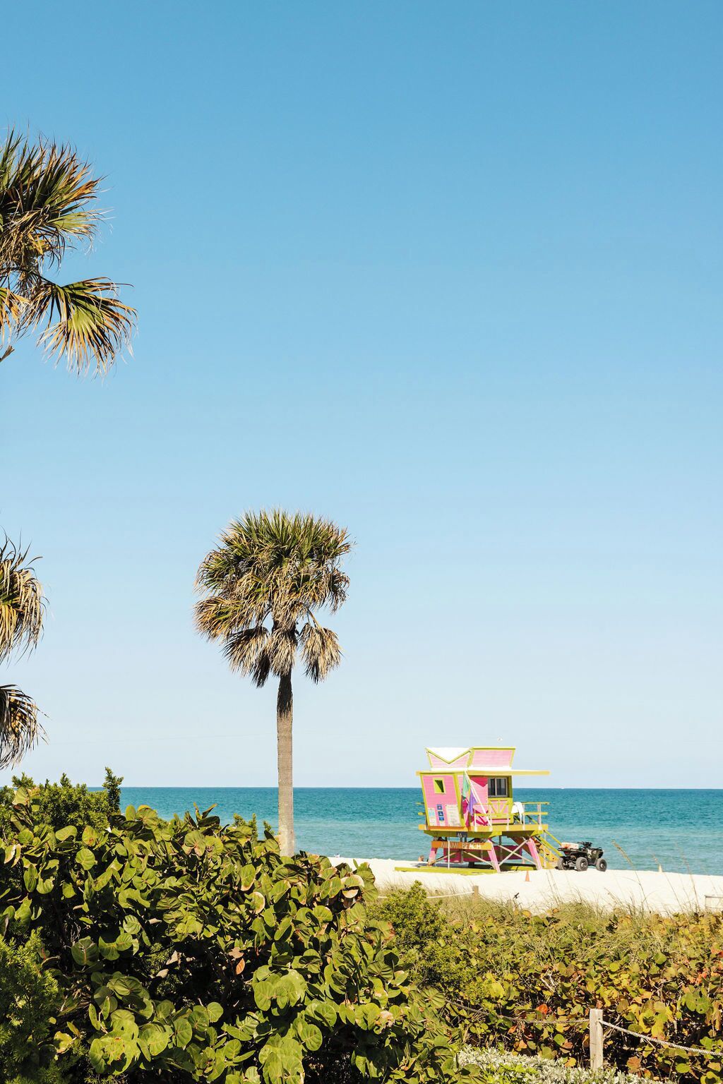 A beach scene with a lifeguard tower, palm trees, and a clear blue sky.