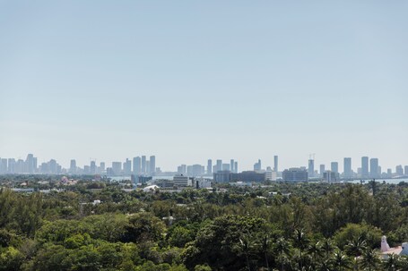 Eden Roc Miami Beach - Image 21