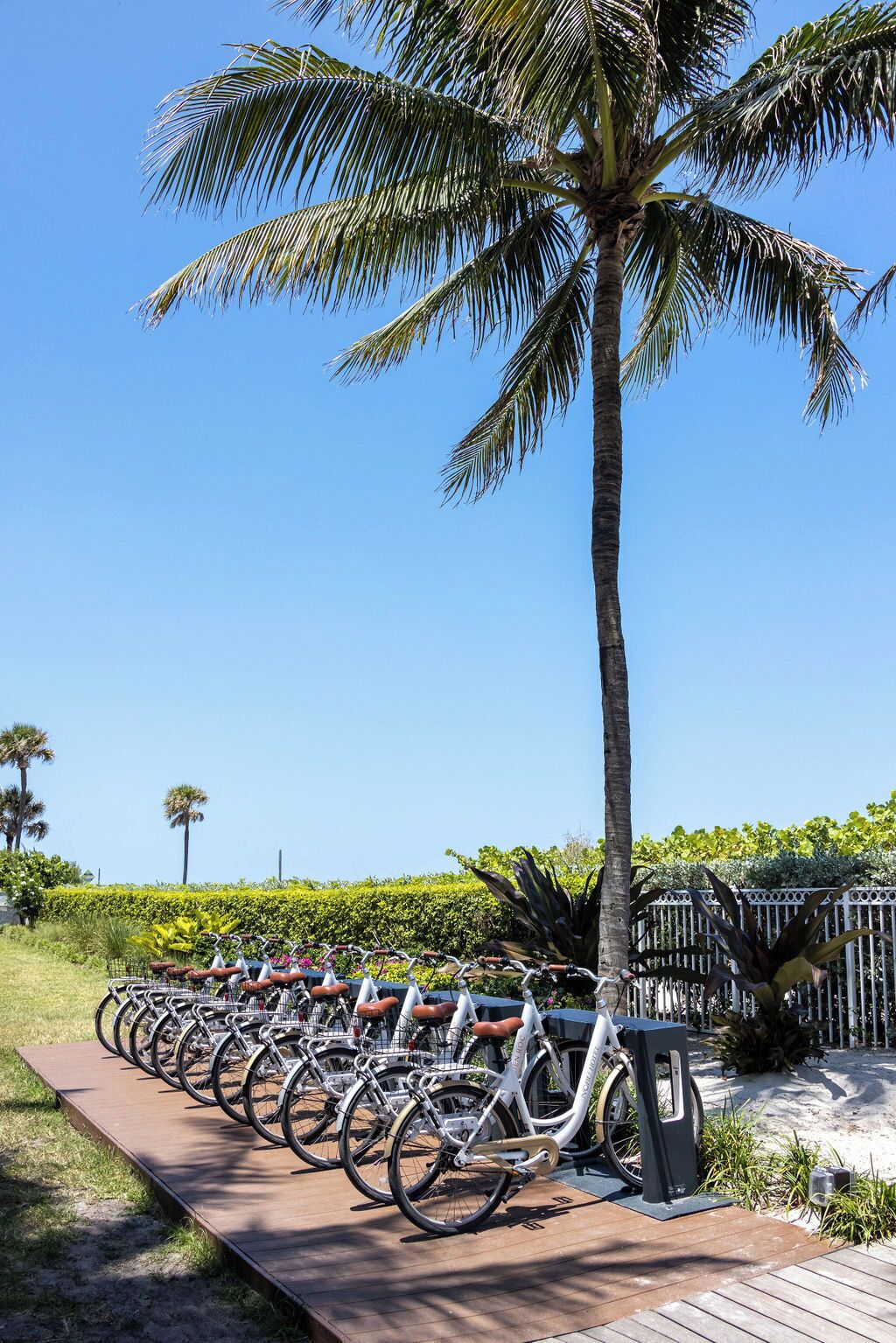 Photo - Eden Roc Miami Beach