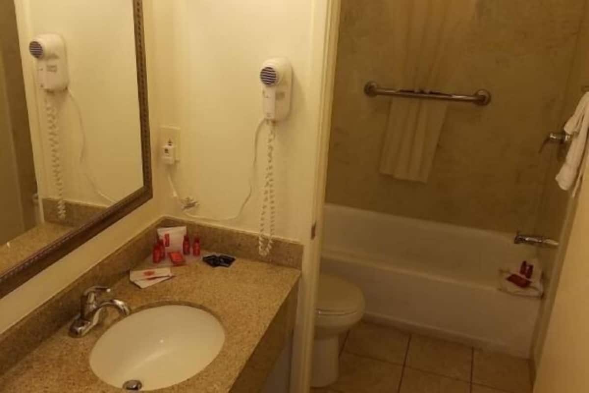 Bañera con ducha, artículos de tocador gratuitos, secador de pelo