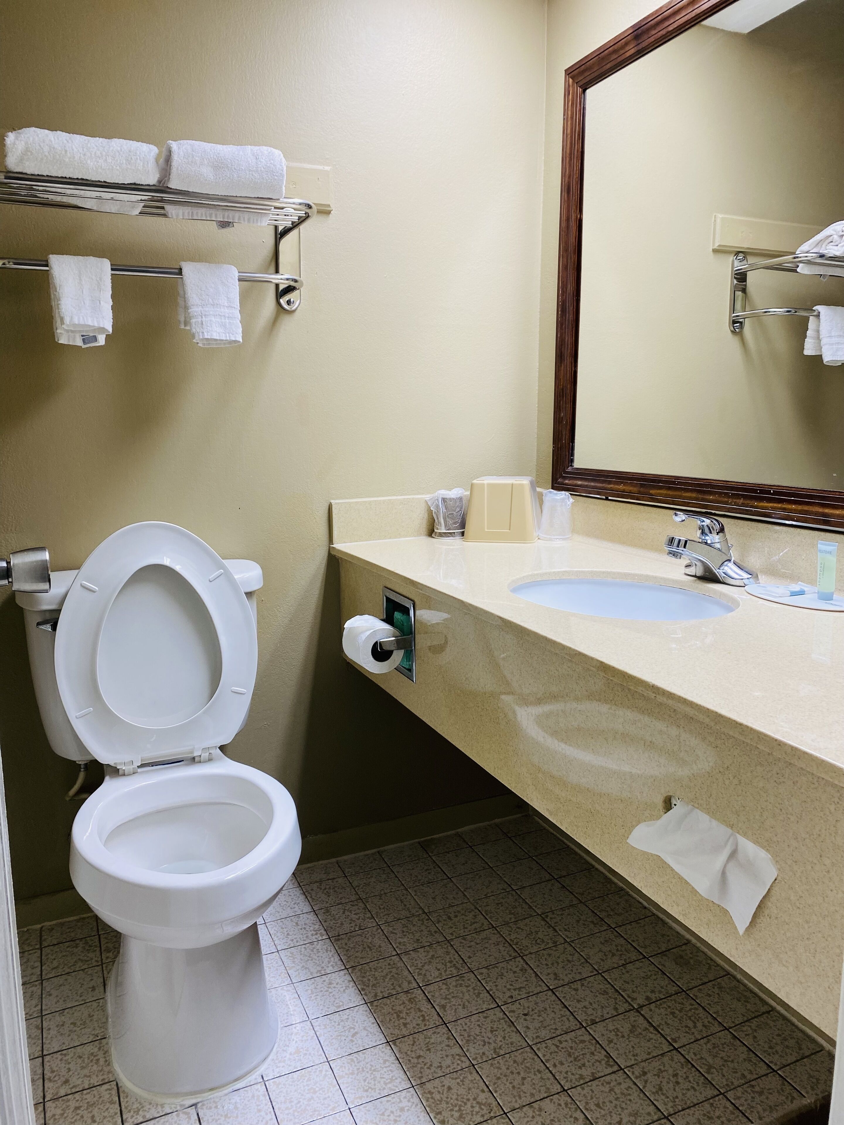 A bathroom with a toilet, sink, and towel rack.