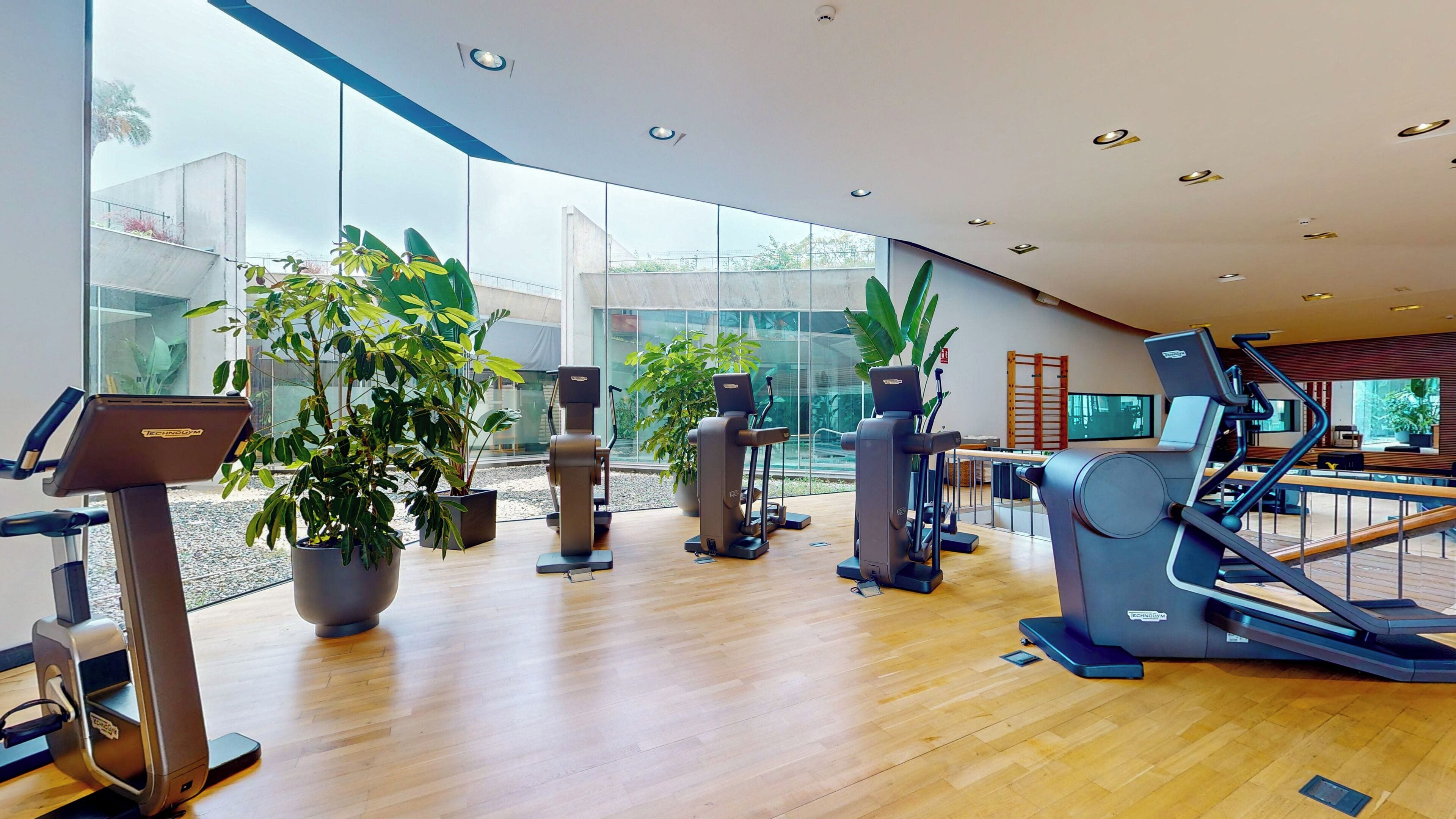 Un gimnasio moderno con diversos equipos de ejercicio, ventanas amplias y plantas de interior.