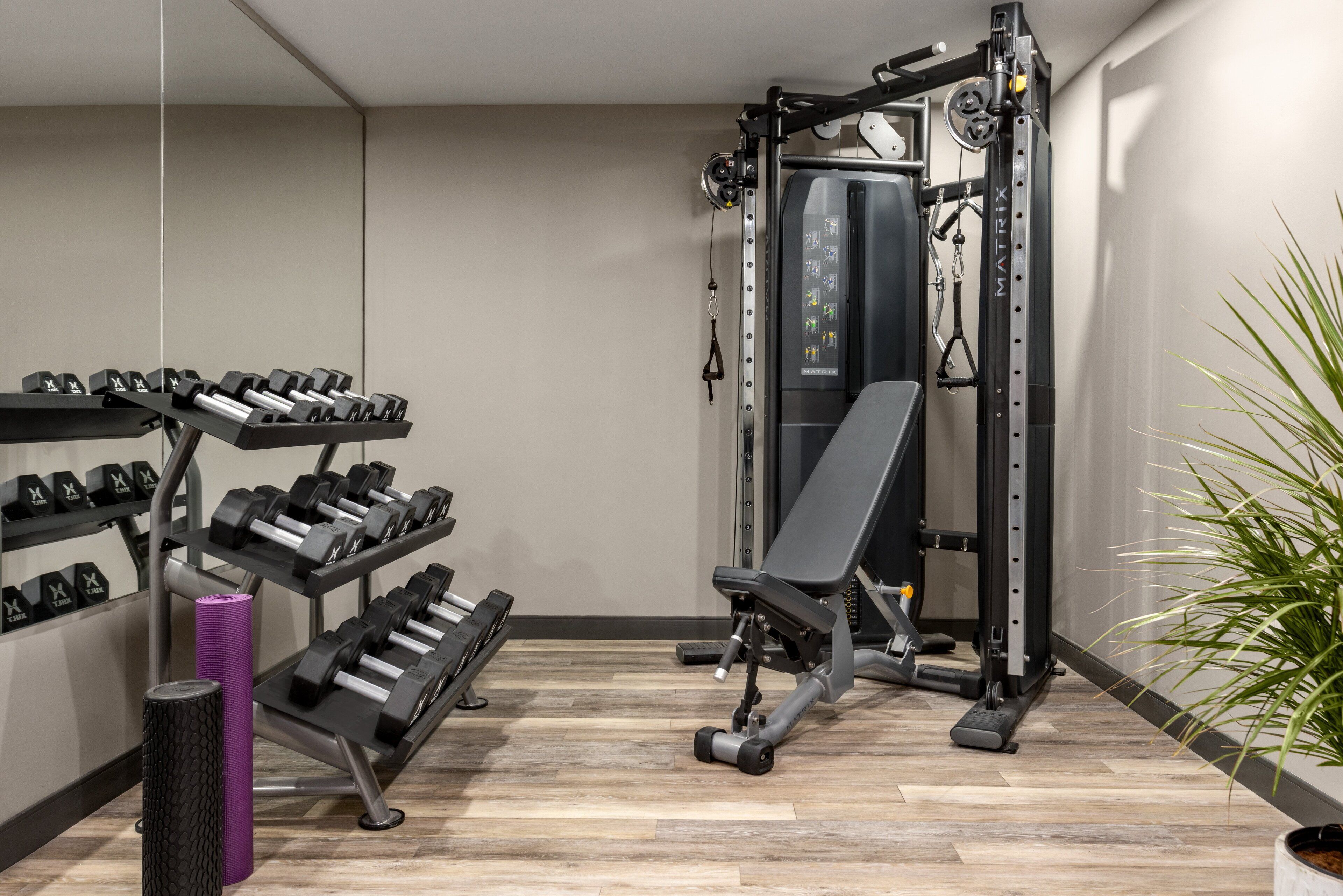 Une salle de sport équipée de matériel de musculation, d’un banc et d’un porte-haltères.