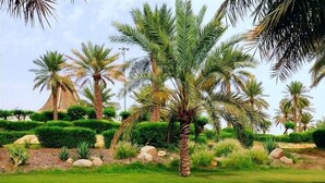 Un jardí paisatjistic amb una font, palmeres i un camí de pedra.