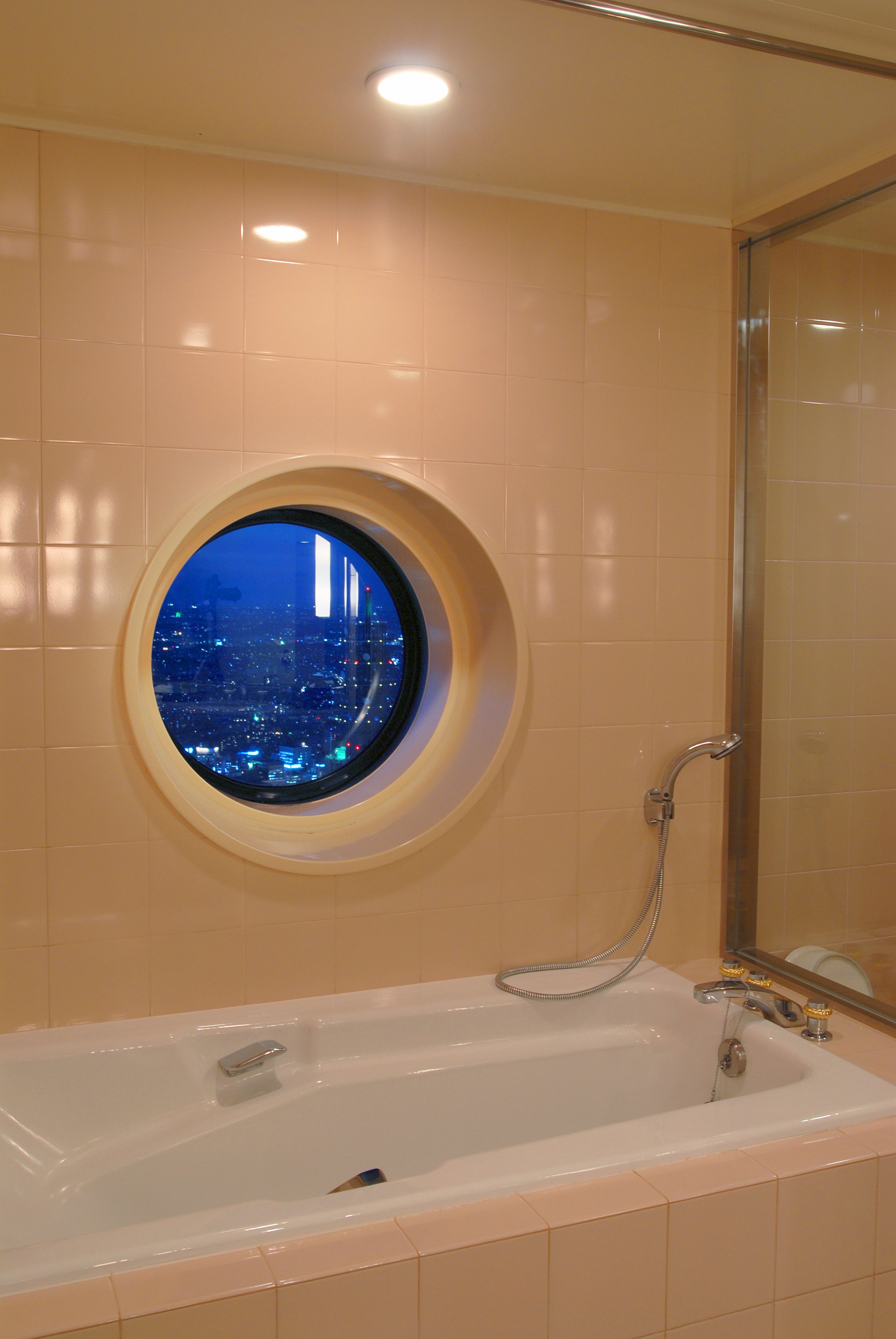 A bathroom with a bathtub, a window with a city view, and a shower area.