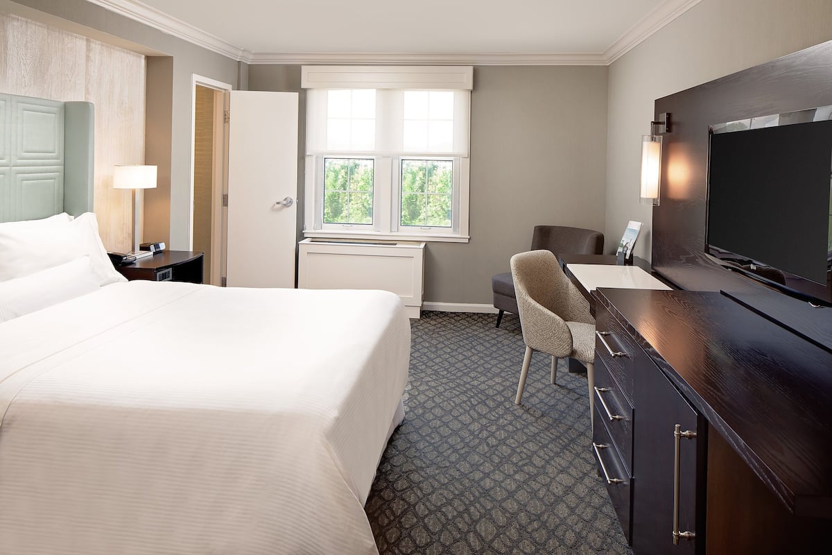 A hotel room with a large bed, a desk, a chair, a TV, and a window with a view of trees.