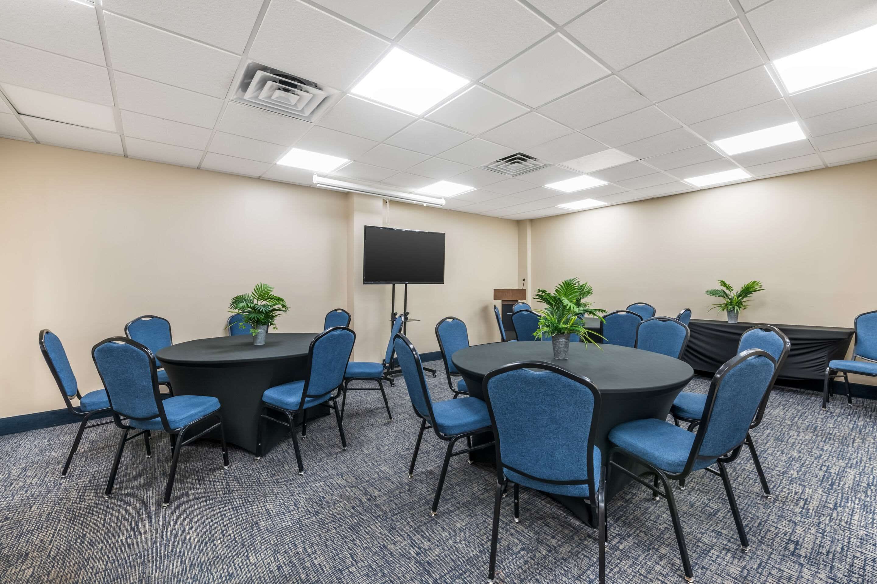 A conference room with a large table, blue chairs, a black screen, and potted plants.