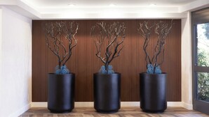 Three black cylindrical vases with branches and blue spherical ornaments on a wooden wall. - Fairfield Inn & Suites by Marriott Camarillo (Camarillo)