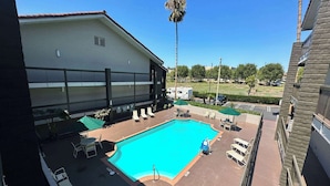 Una piscina con sillas de descanso y sombrillas, rodeada por un edificio con balcones y una palmera.