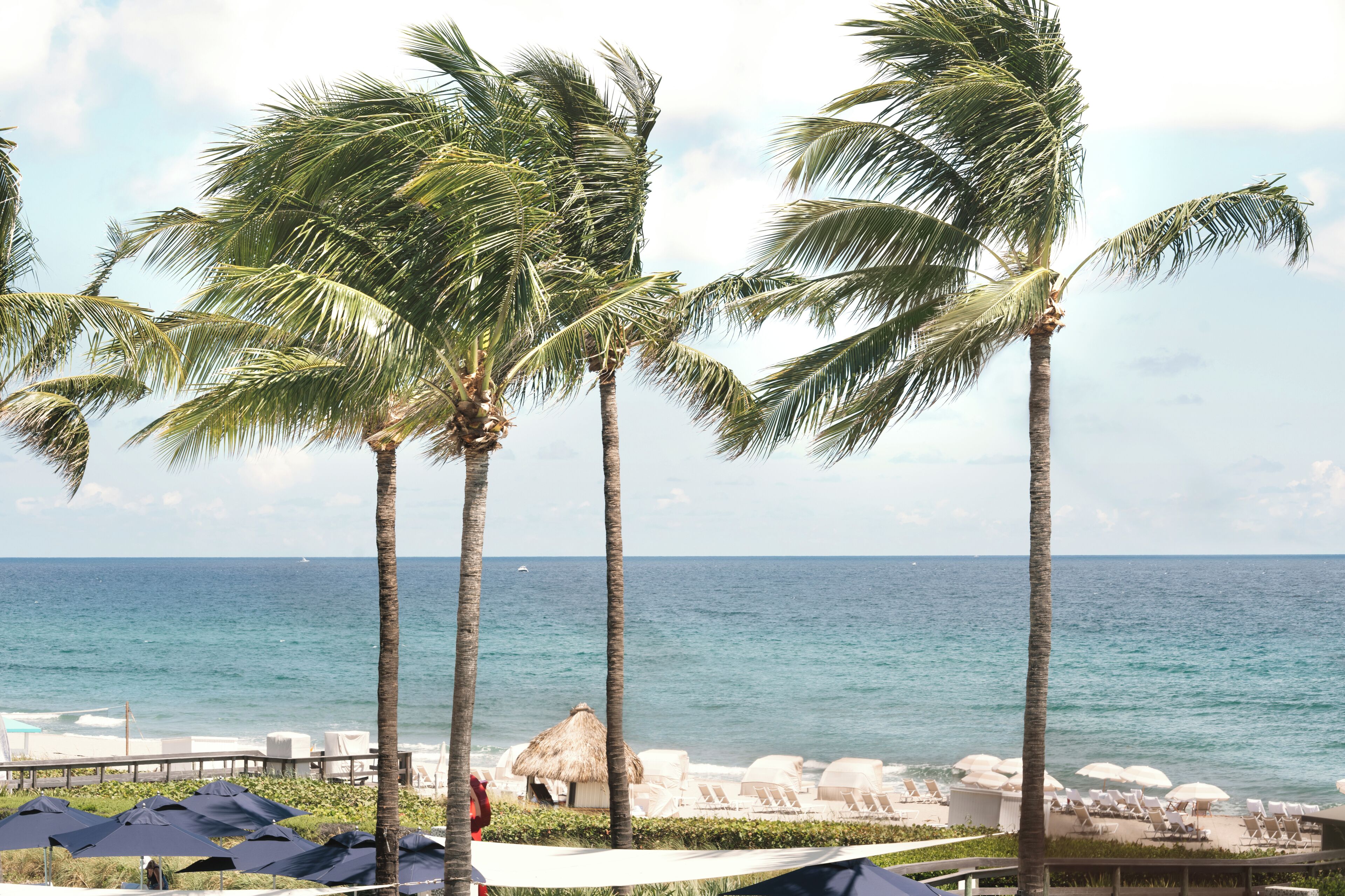 private beach nearby, white sand, free beach shuttle, beach cabanas