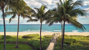 A beach view with palm trees, a pathway, and the ocean.