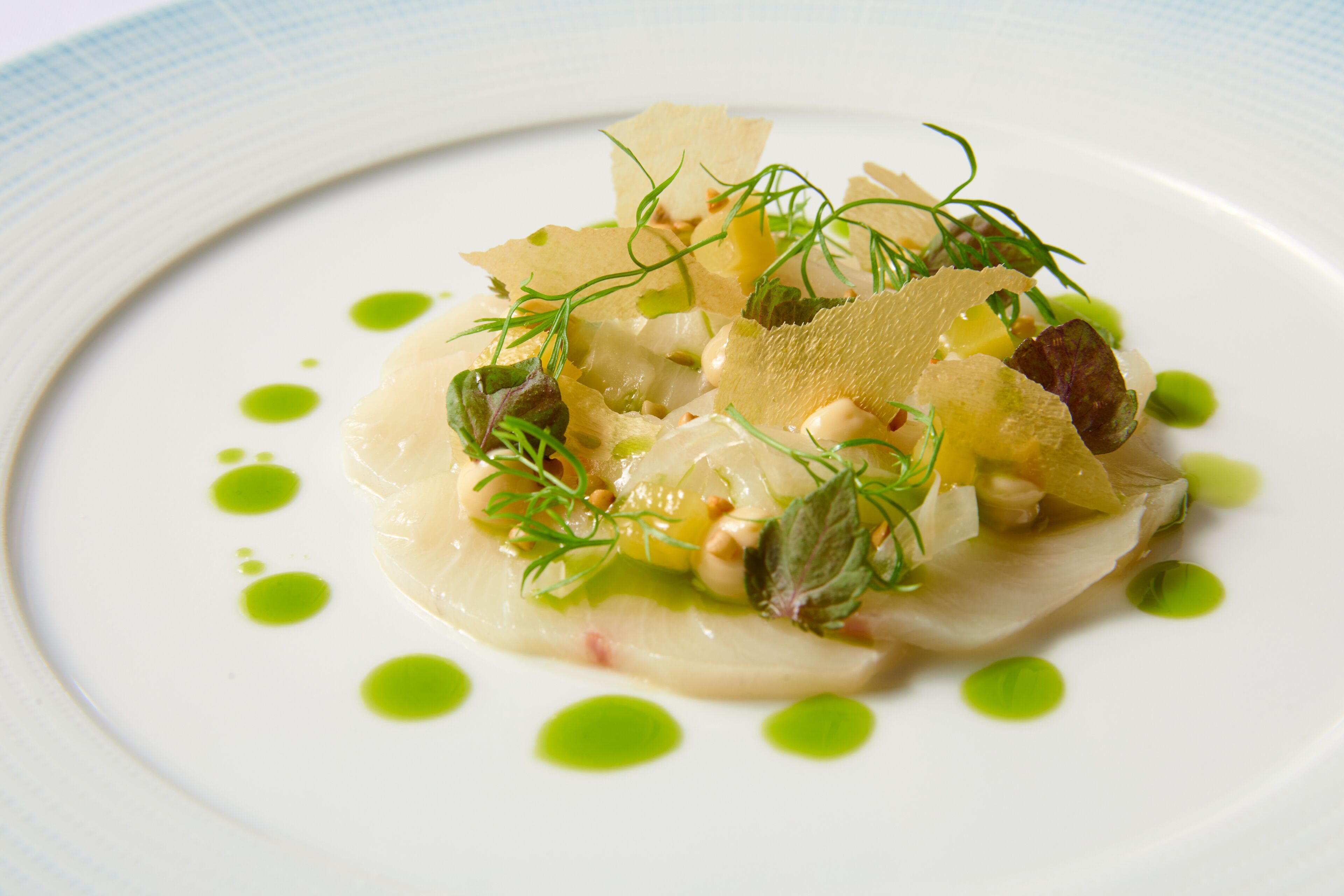 A white plate with a seafood dish garnished with herbs and green sauce.